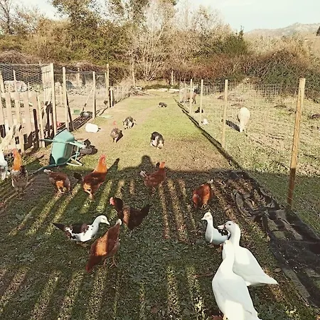 Vale Do Caracol 샬레 *