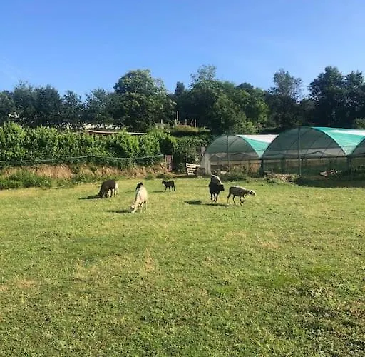 Vale Do Caracol * Arcos de Valdevez