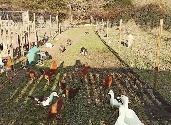 Vale Do Caracol Chalet *